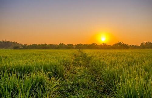 【天河區】關于做好 2020年“三農”領域補短板 項目入庫申報的通知